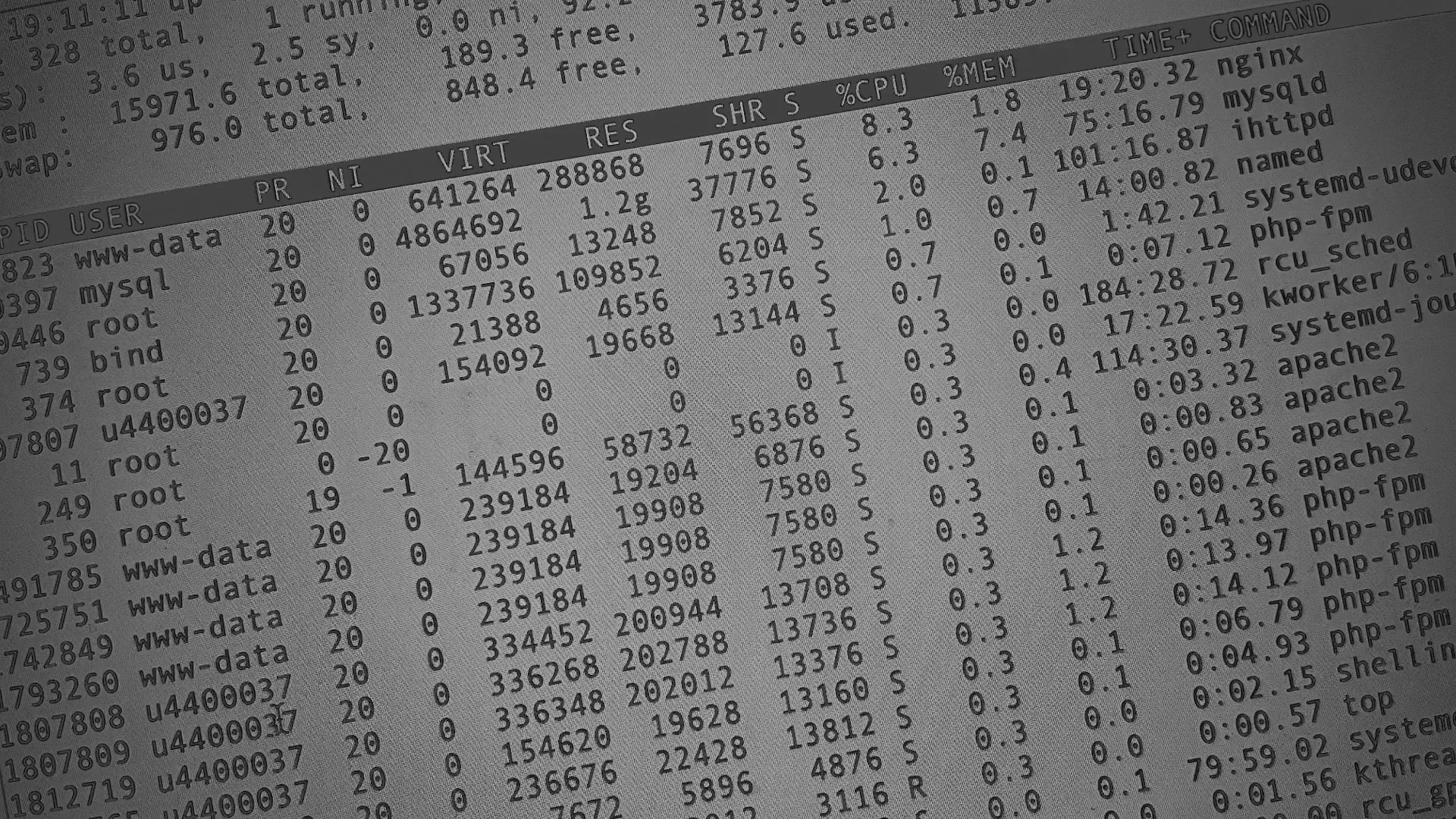 Настройка сервера в Цимлянске